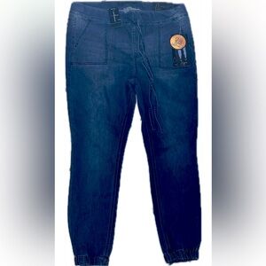 Ashley Stewart Skinny Joggers